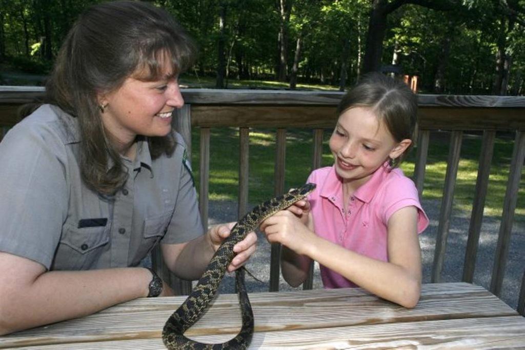 Cacapon State Park Lodge Бъркли Спрингс Екстериор снимка